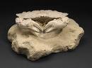 crab fossil